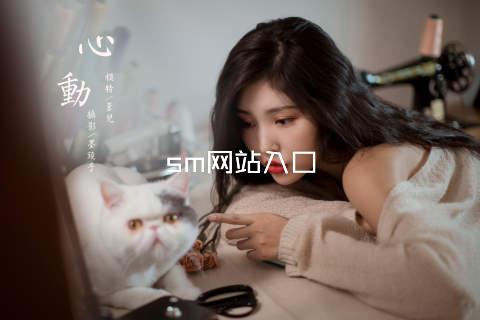 sm网站入口